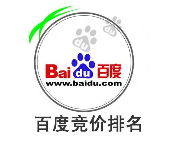 蜘蛛池是否适合电商网站推广